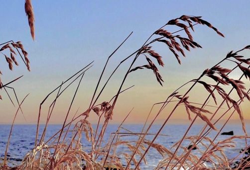 Menneskets Natur – Å være seg selv – med Grethe Aarstein – 2 og 3.november