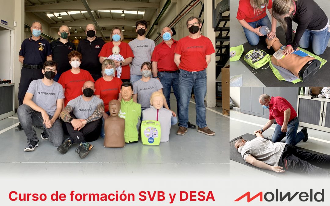 Curso SVB y DESA