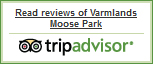 trip-advisor