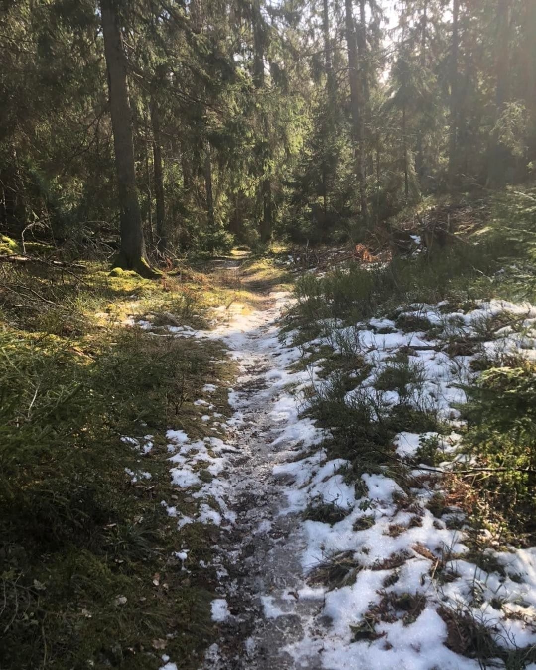 Hello, vintern släpper så sakteliga greppet om våra öar och snart kan man börja träna utan risk för benbrott pga is och snö.
Vi planerar sommarens lopp och funderar över bansträckningen som vi gärna skruvar lite på, som alltid. Är det något du saknar eller fått för mycket av från tidigare års lopp?
Ps. Du vet väl att anmälan är öppen.
www.moose2goose.com/anmalan
Välkommen!