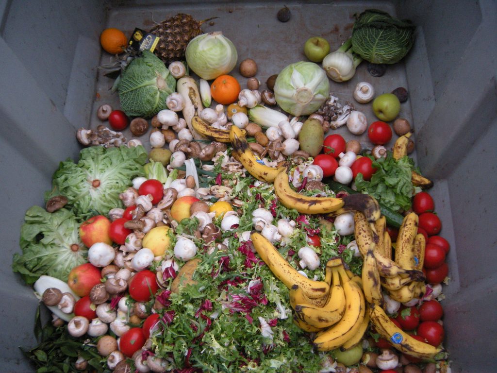 PERFECTLY GOOD TRASHED VEGETABLES