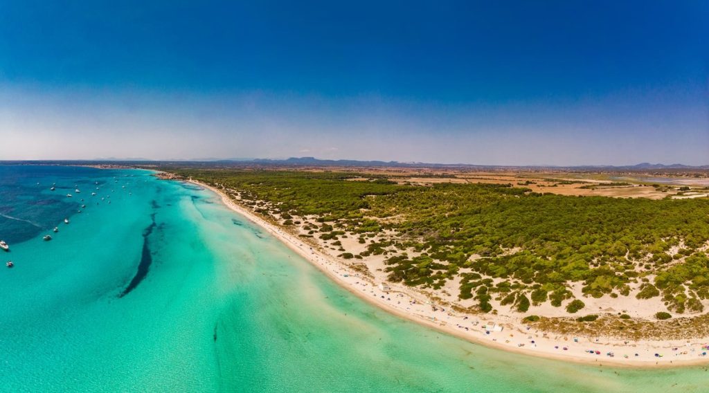 MALLORCA ES TRENC