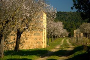 LE LUXURE CAMINO RURAL ALMENDROS CASA DE APEROS