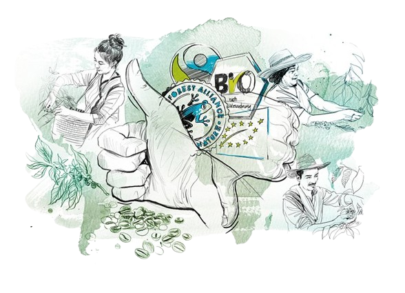DIBUJO TURISMO SOSTENIBLE SUSTAINABLE LUXURY