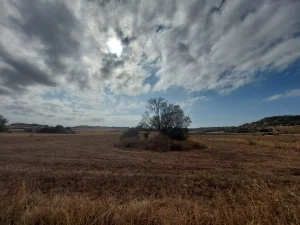 LE LUXURE MALLORCA CLOUDS