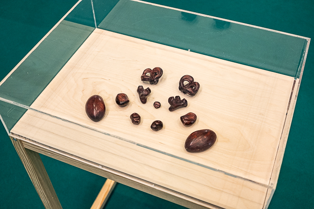 Honeybee Brain Model, The Observatory, Södertälje konsthall 2023