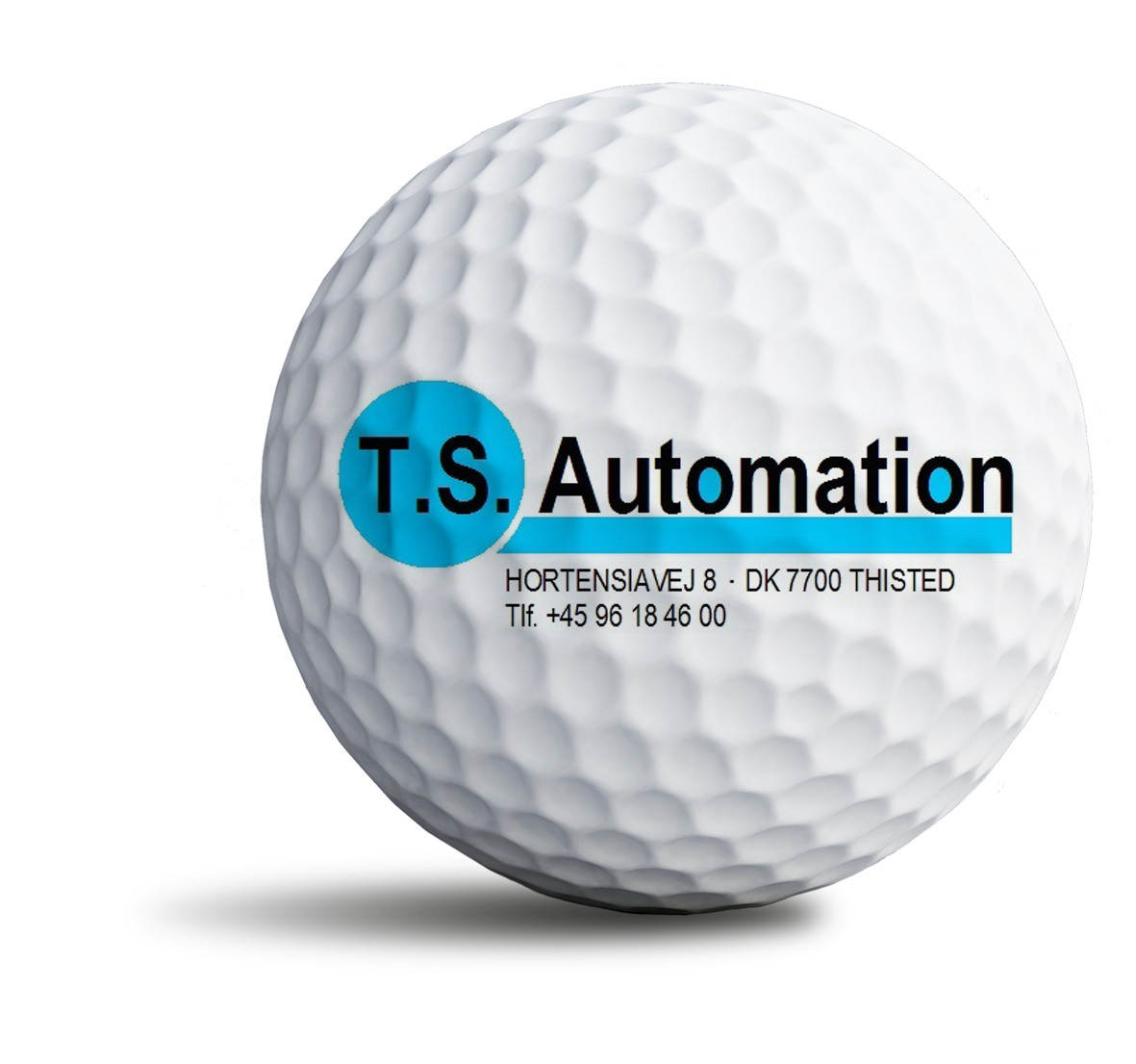 T.S.automation