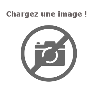 Texte indicatif