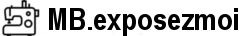 motifs de broderie