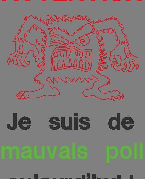 mauvais poil motif de broderie machine