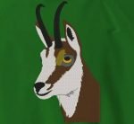 Tête et buste de chamois