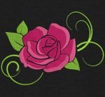 belle rose