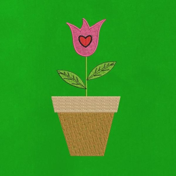 tulipe dans un pot