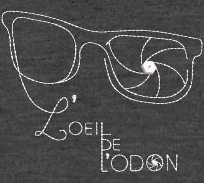 numérisation logo lunettes