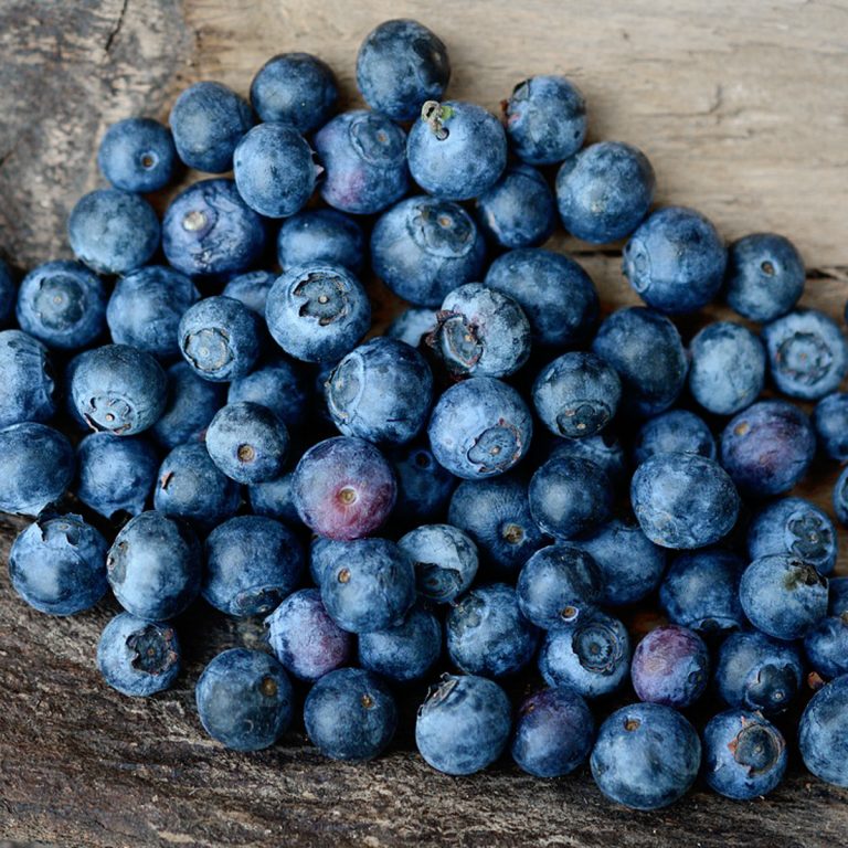 blueberries-2270379_1280 webb