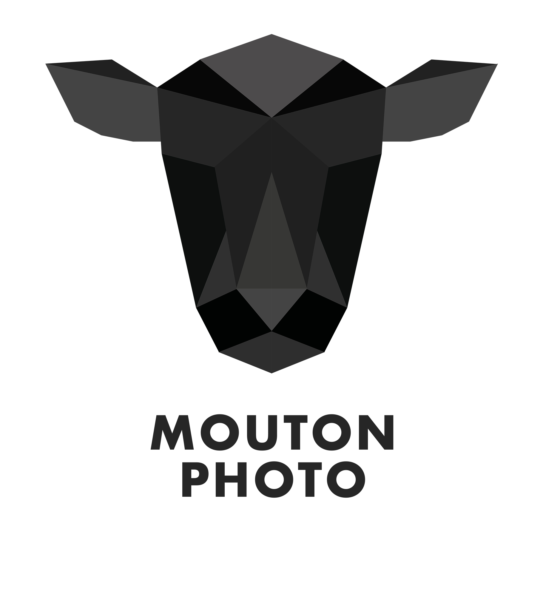 Mouton Photo