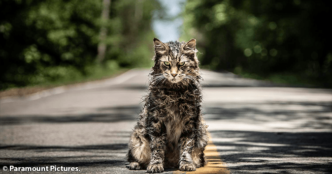 Pet Sematary
