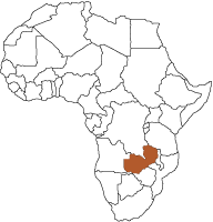 Map of Africa and Zambia