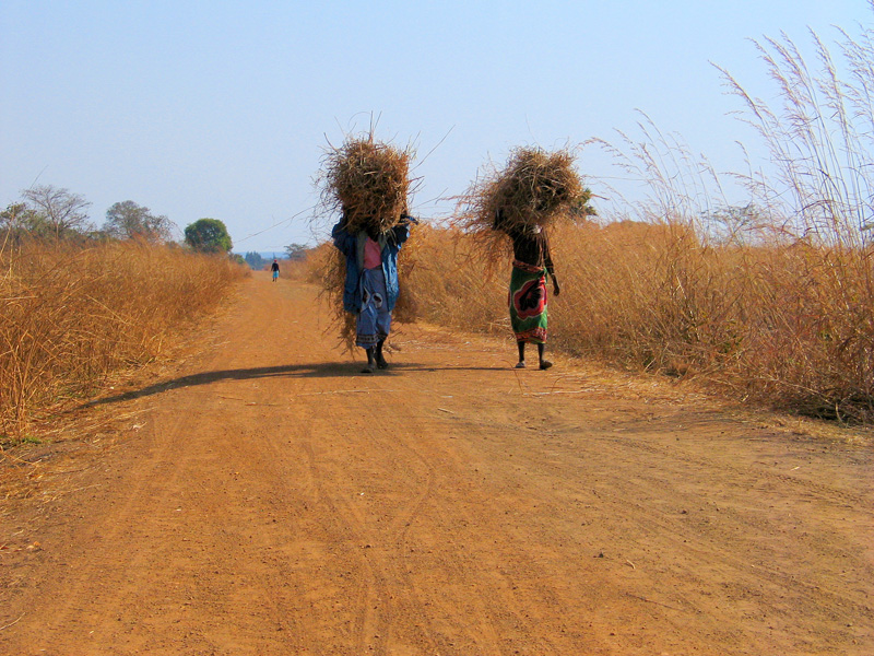 Mpongwe District Copperbelt Zambia Photo Copyright Kathleen Paulsson 2007