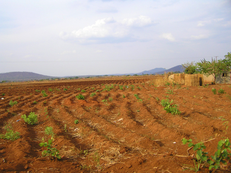 Farm land Copperbelt Zambia