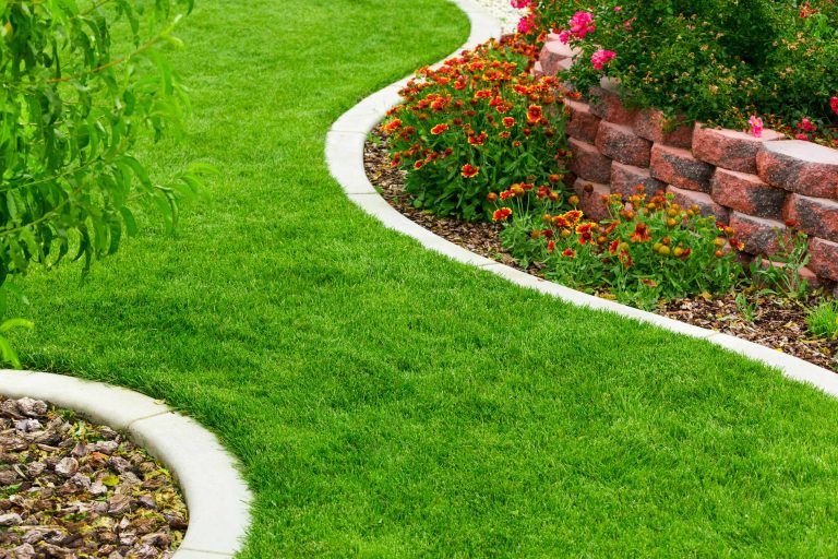 Landscaping in london