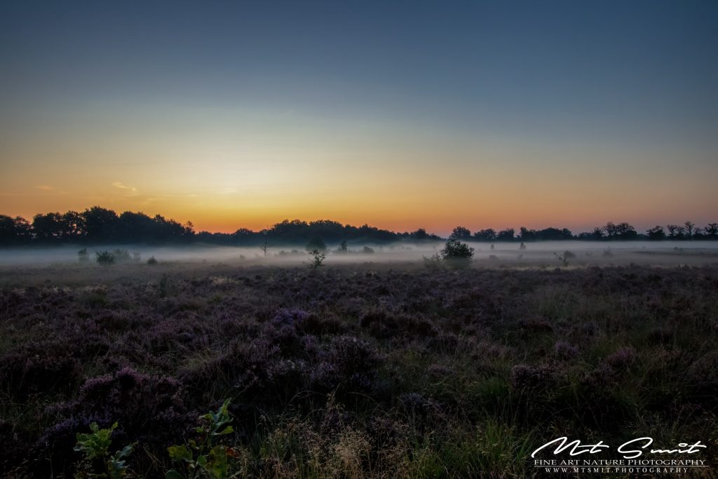 Lees meer over het artikel Sunrise above Balloerveld