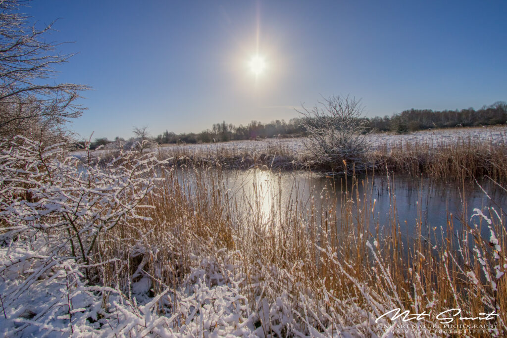 Lees meer over het artikel Snow in march