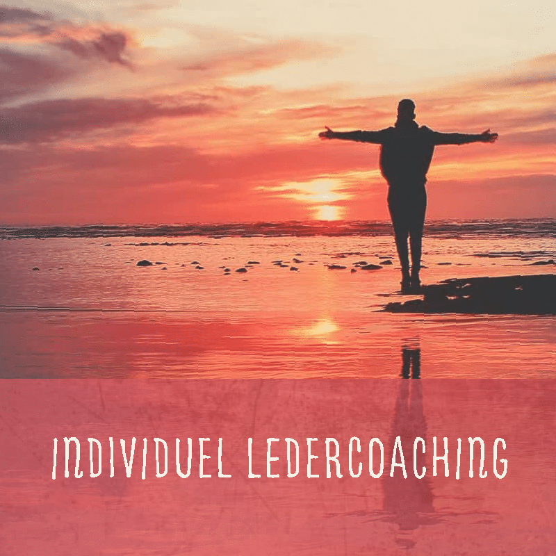 bonafideconsulting.dk individuel ledercoaching