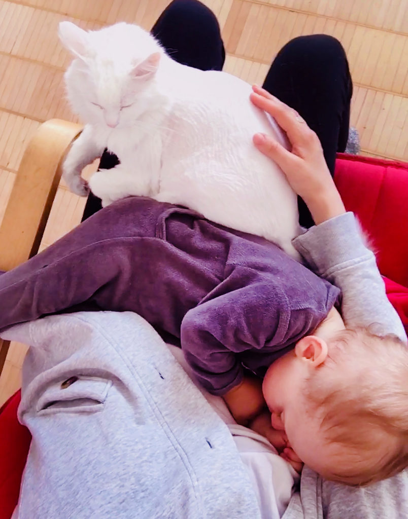 toddler and cat sleeping