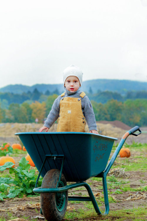 baby on a field with pumpkins 