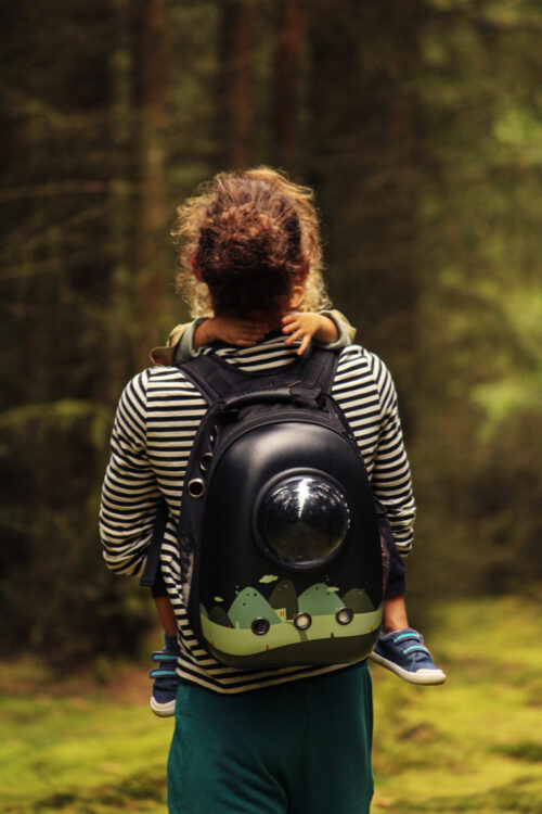 searching for mushrooms in Denmark forests