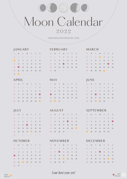 Moon Calendar - mushroomdana.com2