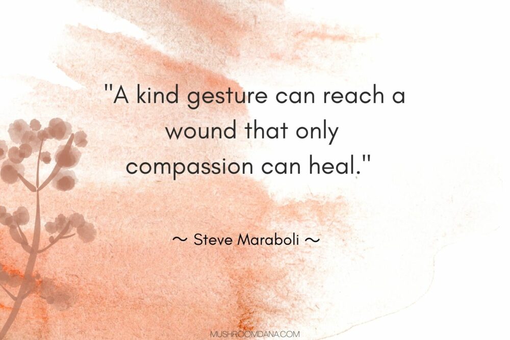 47 Quotes about compassion