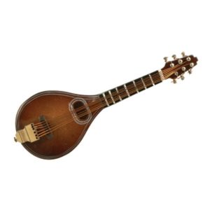 Magneet mandoline
