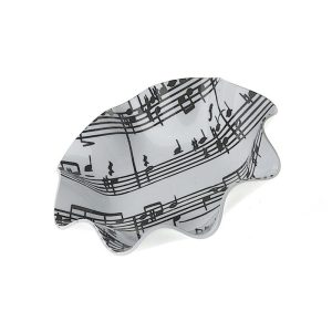 Kleine serveerschaal muziek design