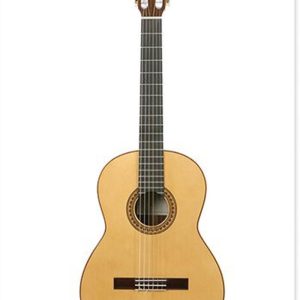 Ansichtkaart gitaar