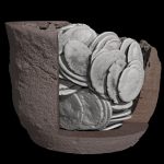 Cutaway CT render showing the same pot