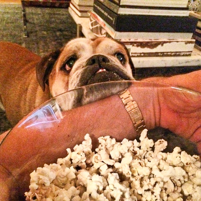 Jeg spiser Popcorn og ser film med min kaereste derhjemme, Emma (min bulldog som jeg flyttede samme med fra DK) tigger som altid og vi ender med at dele popcornene mellem os  