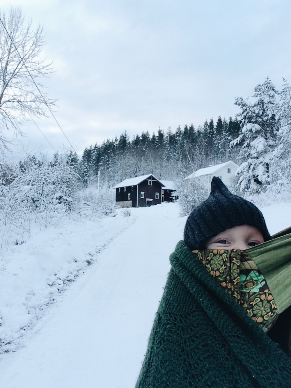 Dagen i dag - med gården i baggrunden.  