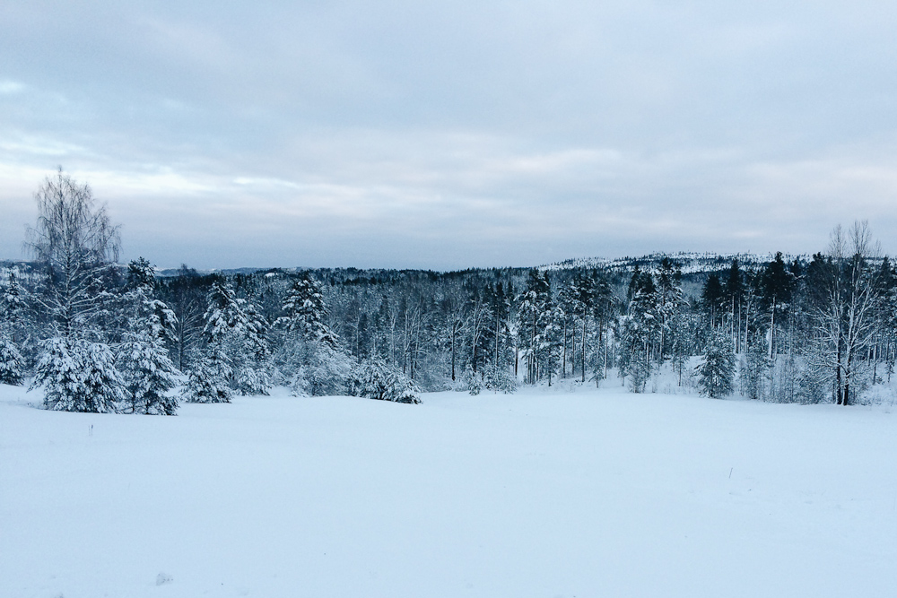 Vi er i Norge og på en gård - her har du et foto fra dagen i dag. Og bare vent - det bliver endnu mere idylisk 