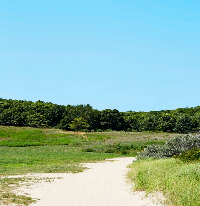 Et sommerfoto fra Danmark, som Skagen har leveret i deres presseskrivelse