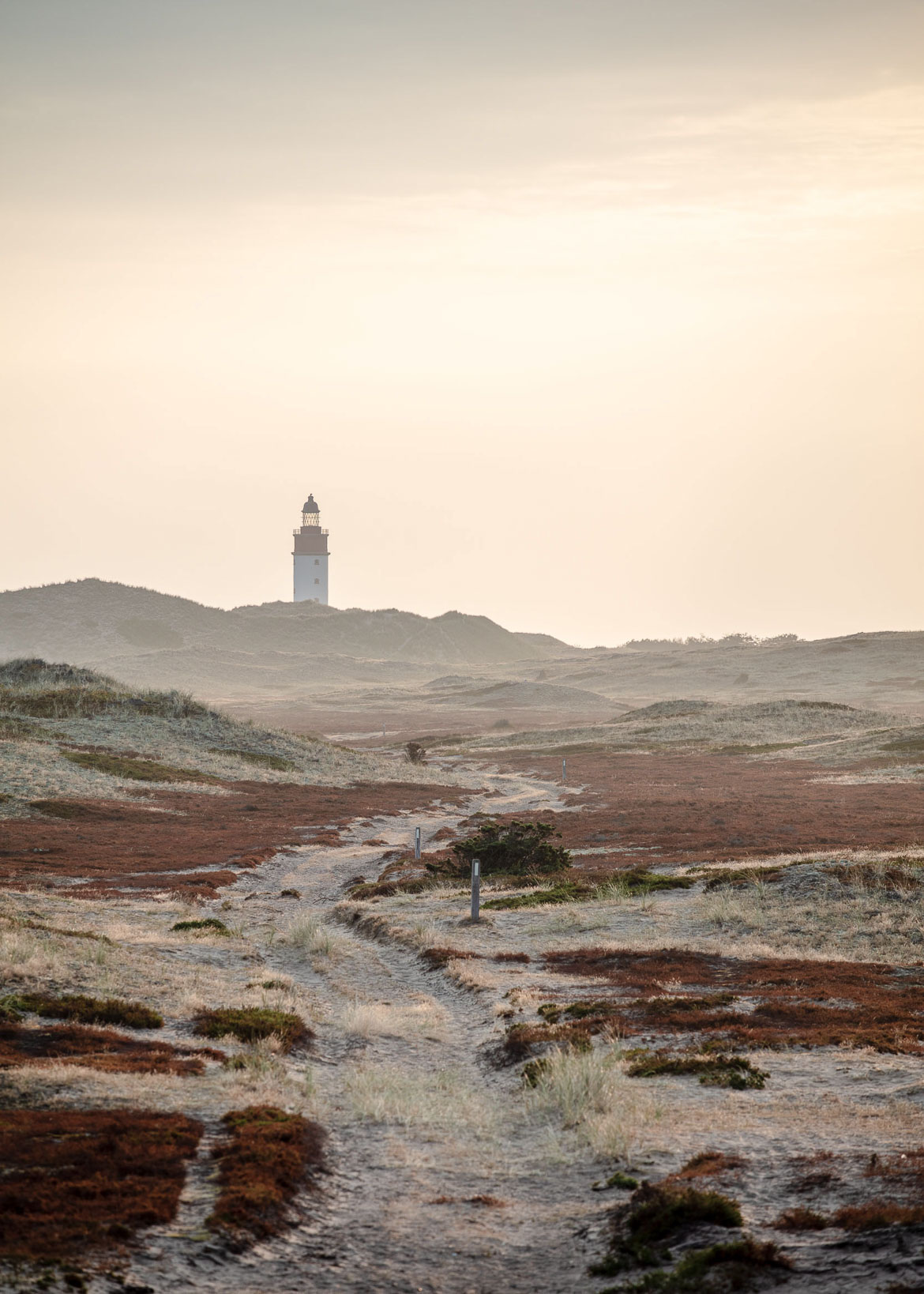 anholt foto factory