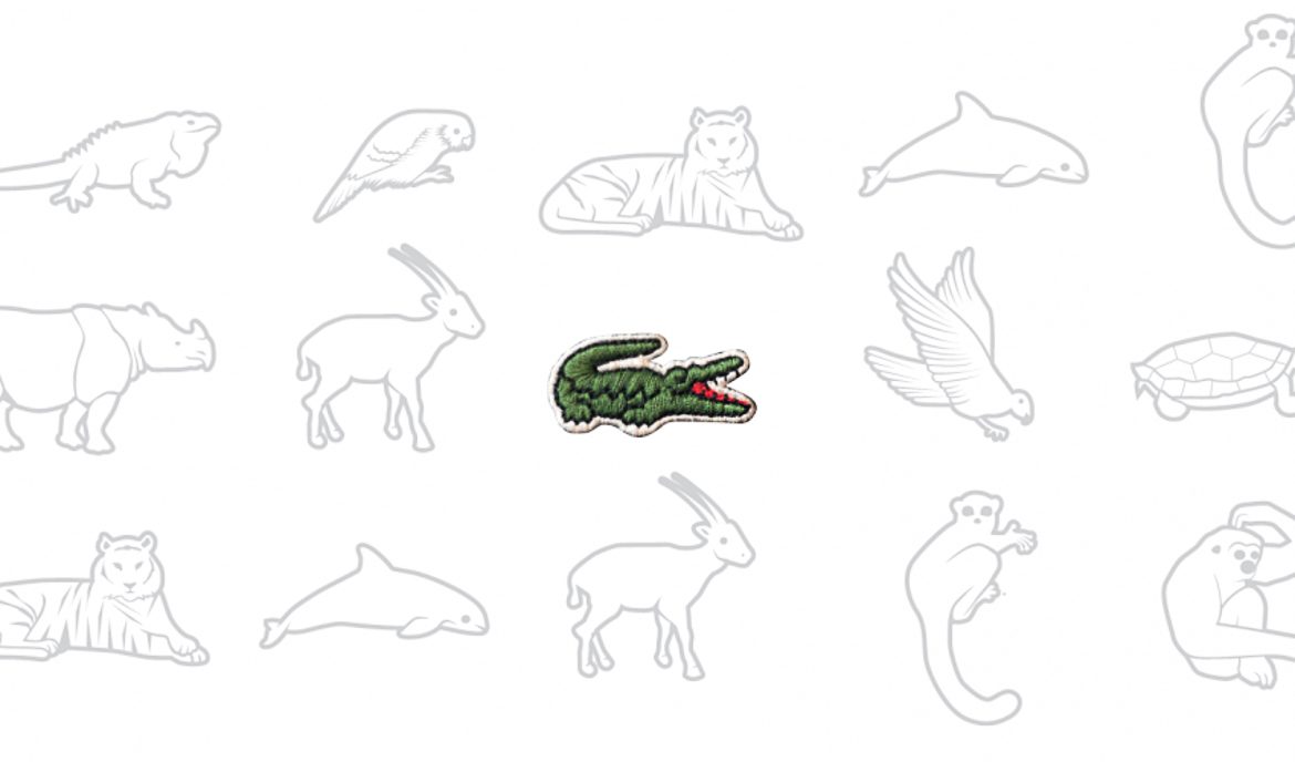 lacoste krokodille