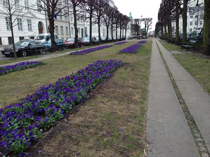 Der blev sat blomster fri