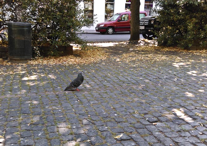 Lonely ranger på brosten 