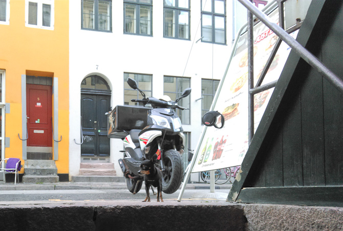 Ejnar parkerede sin scooter
