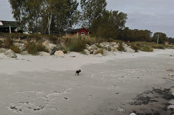 Strandtur 