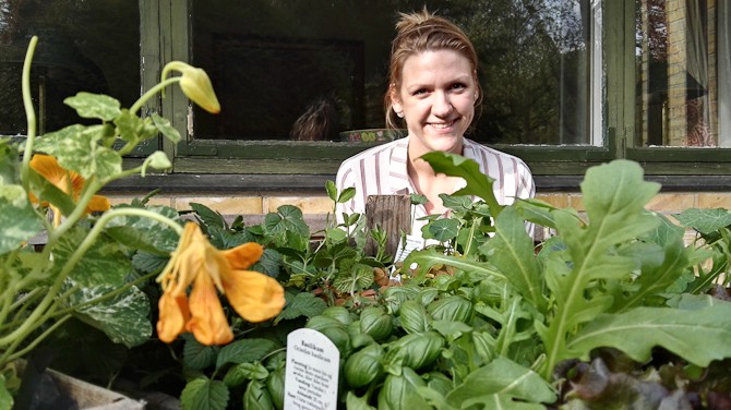 Vi plantede spiselige blomster 