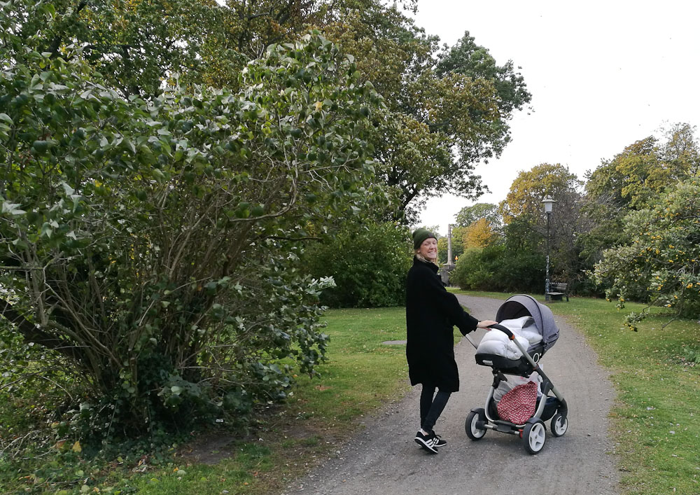 Parkvandring i Malmø 