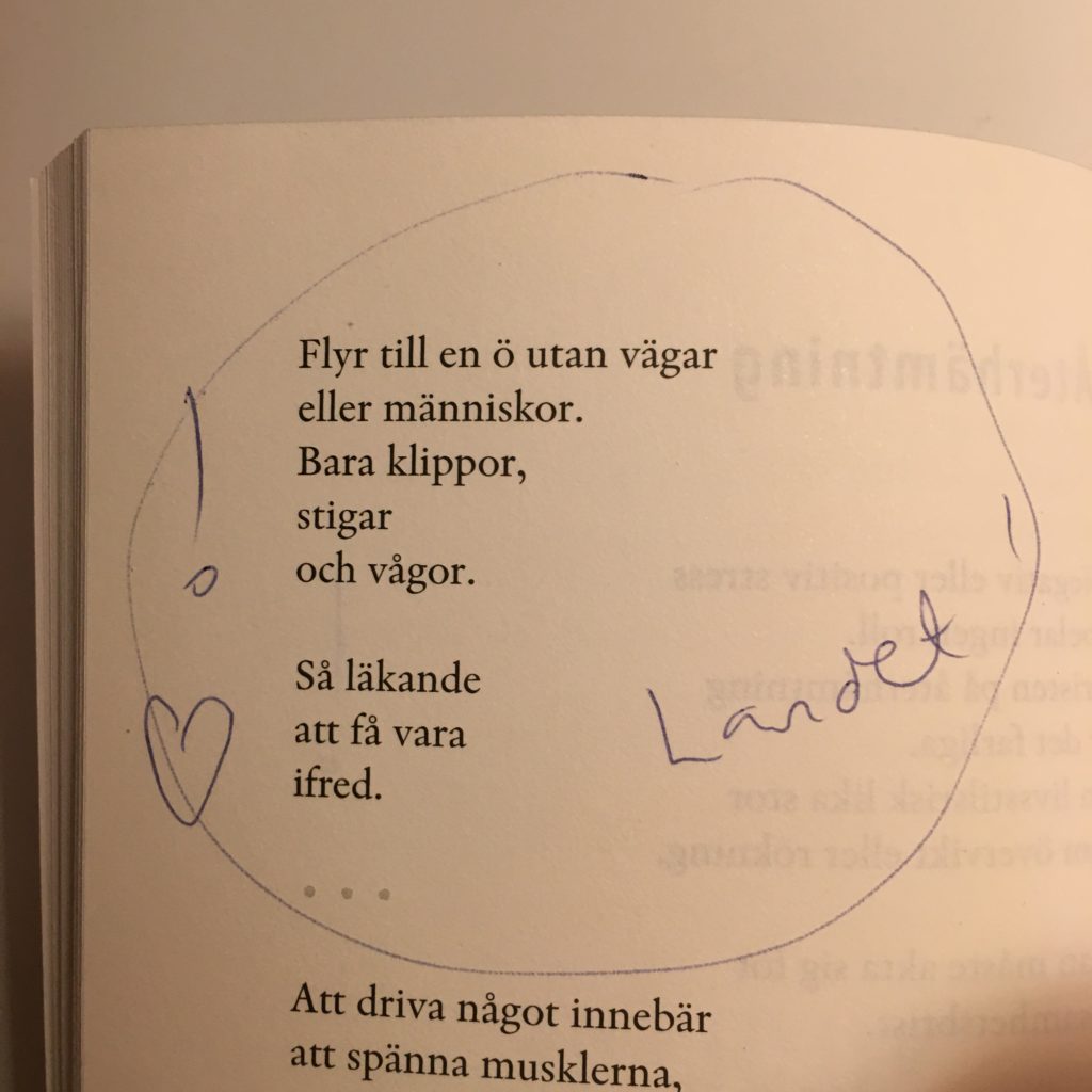 Utdrag ur boken Väggen.